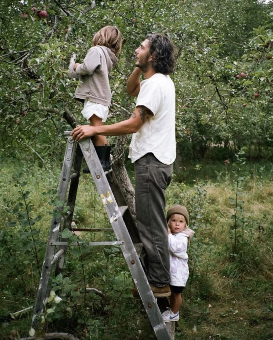 Padre y sus hijos recogiendo manzanas juntos, presentes y sin movil